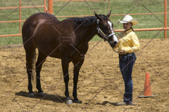 PCSChorseshow62114_IMG_1058