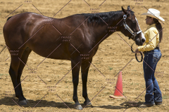 PCSChorseshow62114_IMG_1067