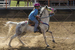 PCSChorseshow62114_IMG_2246