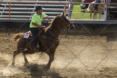 PCSChorseshow62114_IMG_2251