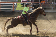 PCSChorseshow62114_IMG_2254