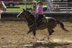 PCSChorseshow62114_IMG_2258