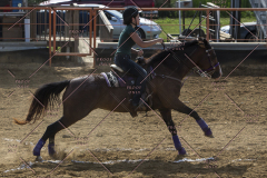 PCSChorseshow62114_IMG_2297