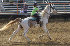 PCSChorseshow62114_IMG_2316