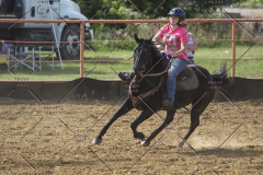PCSChorseshow62114_IMG_2329