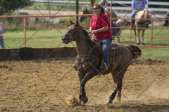 PCSChorseshow62114_IMG_2337