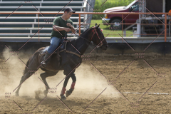 PCSChorseshow62114_IMG_2377