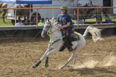 PCSChorseshow62114_IMG_2402