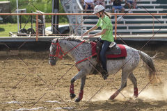 PCSChorseshow62114_IMG_2421