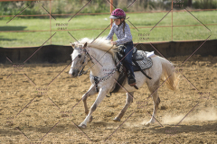 PCSChorseshow62114_IMG_2446