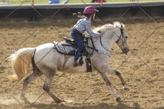 PCSChorseshow62114_IMG_2453