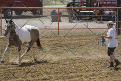 PCSChorseshow62114_IMG_0506