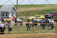 PCSChorseshow62114_IMG_0614