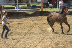PCSChorseshow62114_IMG_2013