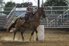 PCSChorseshow62114_IMG_2458
