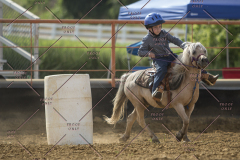 PCSChorseshow62114_IMG_2485