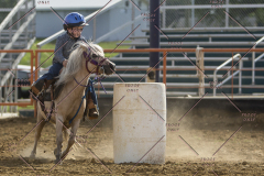 PCSChorseshow62114_IMG_2489