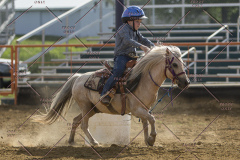 PCSChorseshow62114_IMG_2490