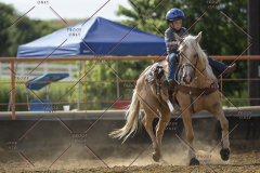 PCSChorseshow62114_IMG_2523
