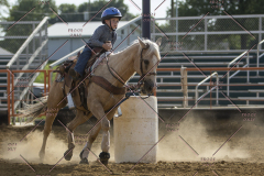 PCSChorseshow62114_IMG_2527