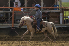 PCSChorseshow62114_IMG_2543