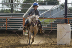 PCSChorseshow62114_IMG_2546