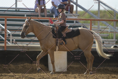 PCSChorseshow62114_IMG_2556