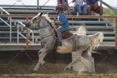 PCSChorseshow62114_IMG_2564