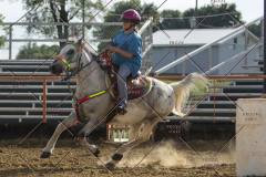 PCSChorseshow62114_IMG_2567