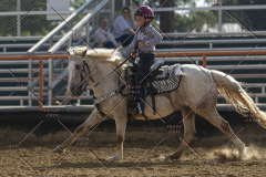PCSChorseshow62114_IMG_2585