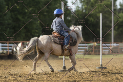 PCSChorseshow62114_IMG_2627