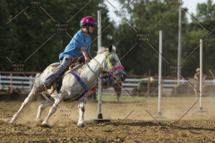 PCSChorseshow62114_IMG_2675