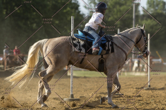 PCSChorseshow62114_IMG_2738