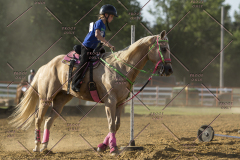 PCSChorseshow62114_IMG_2762