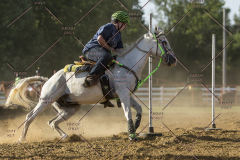 PCSChorseshow62114_IMG_2769