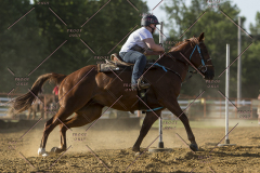 PCSChorseshow62114_IMG_2778