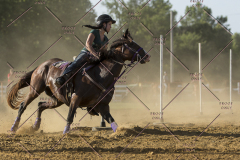 PCSChorseshow62114_IMG_2790