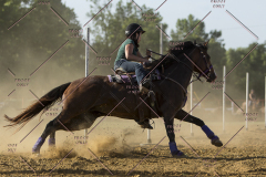 PCSChorseshow62114_IMG_2792