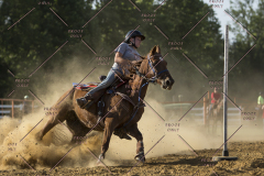 PCSChorseshow62114_IMG_2803