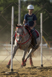 PCSChorseshow62114_IMG_2830