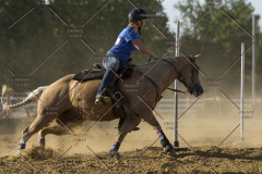 PCSChorseshow62114_IMG_2859