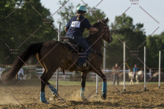PCSChorseshow62114_IMG_2870