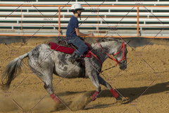 PCSChorseshow62114_IMG_2872