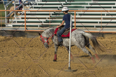 PCSChorseshow62114_IMG_2880