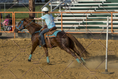 PCSChorseshow62114_IMG_2903