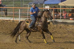 PCSChorseshow62114_IMG_2912