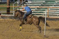 PCSChorseshow62114_IMG_2916