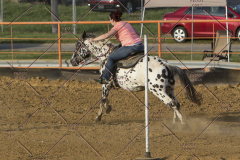 PCSChorseshow62114_IMG_2931