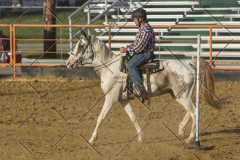 PCSChorseshow62114_IMG_2951