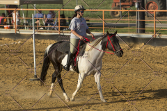 PCSChorseshow62114_IMG_2957